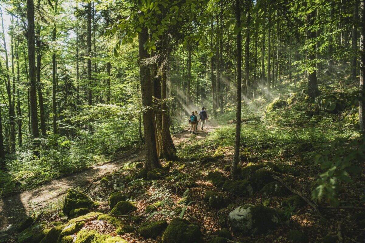 Eslovenia Donde comienza la aventura