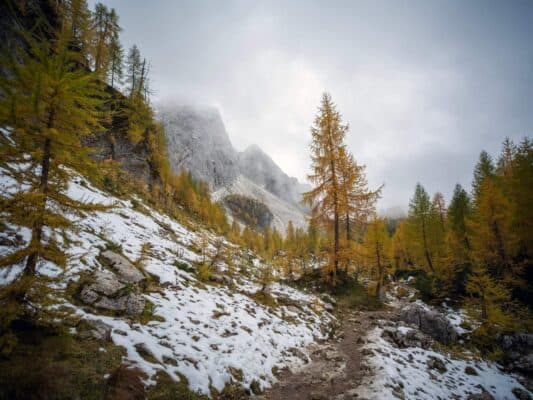 Erjavčeva koča - Slemenova špica - Sleme