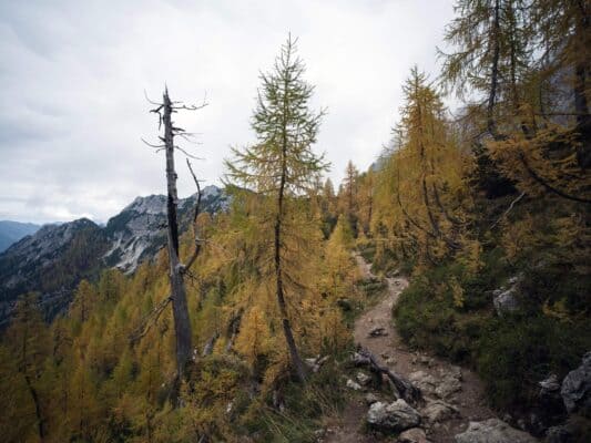 Erjavčeva koča - Slemenova špica - Sleme