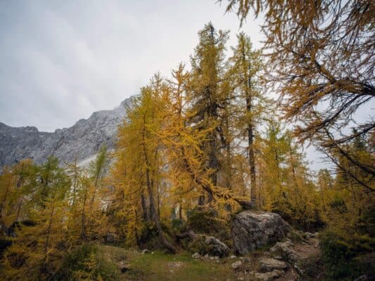 Erjavčeva koča - Slemenova špica - Sleme