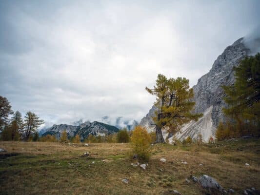 Erjavčeva koča - Slemenova špica - Sleme