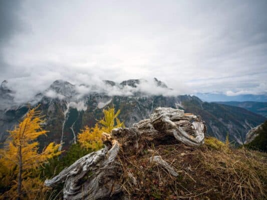 Erjavčeva koča - Slemenova špica - Sleme