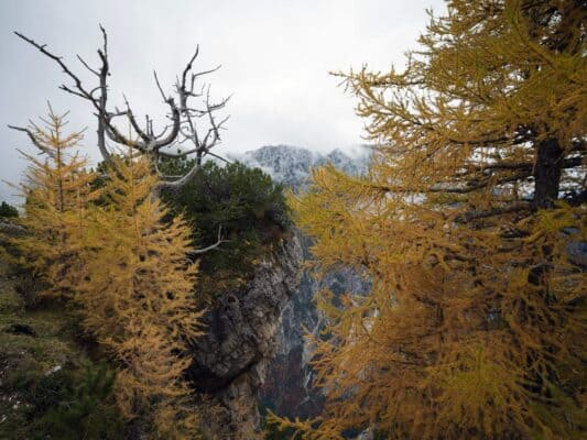 Erjavčeva koča - Slemenova špica - Sleme