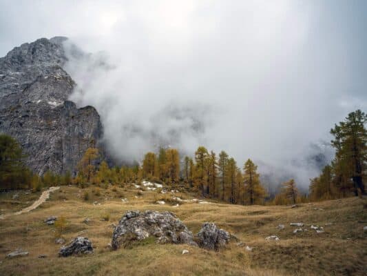 Remoto paisaje de montaña con picos rocosos envueltos en niebla y árboles otoñales en el refugio de Erjavčeva.
