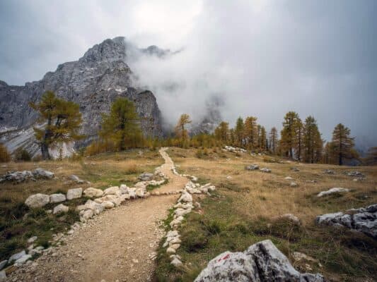 Roca con marcador de sendero delante de una escena de bosque y montaña, ruta de senderismo cerca del refugio de Erjavčeva, Eslovenia.