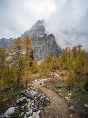 Sendero panorámico de montaña que conduce al refugio de Erjavčeva, con árboles otoñales y un escarpado pico de montaña al fondo.