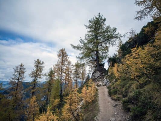 Exuberante sendero de montaña que conduce al refugio de Erjavčeva en un pintoresco paisaje alpino.