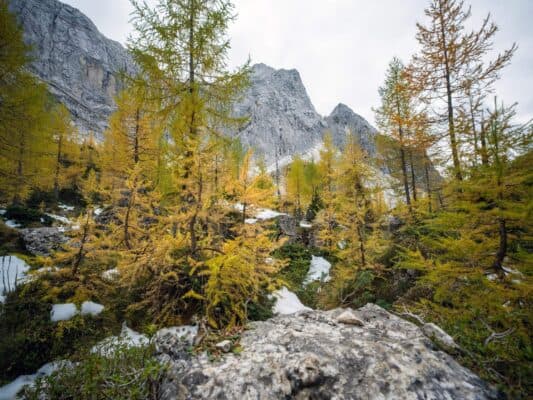 Erjavčeva koča - Slemenova špica - Sleme