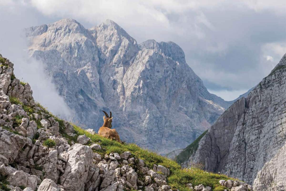 Entre las montañas calendario 2026