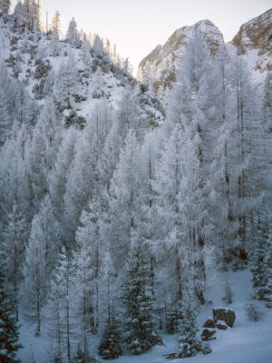 ¿Por qué visitar el Paso de Vršič en Eslovenia, cerca de Kranjska Gora, en invierno?
