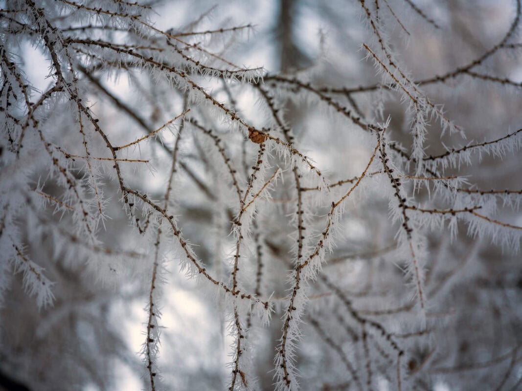 ¿Por qué visitar el Paso de Vršič en Eslovenia, cerca de Kranjska Gora, en invierno?